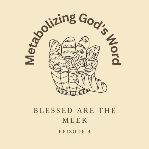 Ep. D4 Blessed are the Meek, for they shall Inherit the&nbsp;Earth